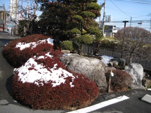 IMG_0001