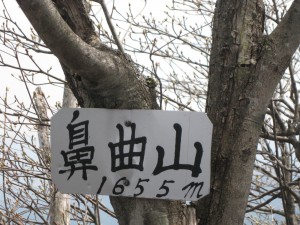 20011.5.15 009