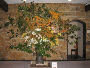 IMG_0951